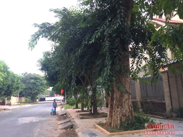 Một góc khu đô thị mới Trung Đô (TP. Vinh).