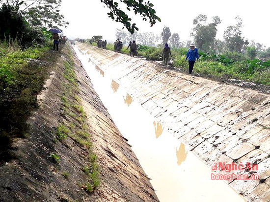 Sau khi nạo vét xong, kênh tưới N214 đã thông thoáng dòng chảy.