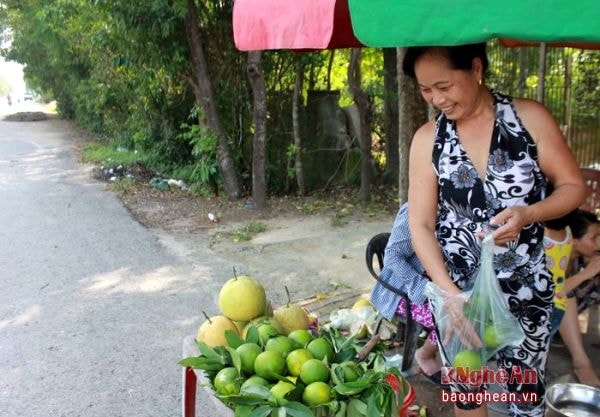 Những trái cam, bưởi được hái từ vườn nhà người dân. Trong ảnh, một điểm bán cam, bưởi nhà...tại xóm 13 thuộc xã Nghi Trường (Nghi Lộc). Người bán các thức quà ở đây cho biết, vì không có thời gian đi chợ nên đành mang ra bán trên quốc lộ, và các thức quà quê đều được hái từ trong vườn nhà.