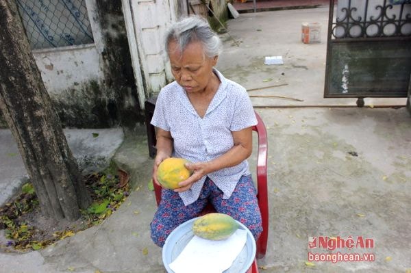 'Hàng hóa' phục vụ khách của bà cụ này là 2 quả đu đủ chín cây