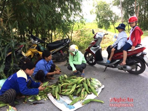 Những thức quà quê đến từ mảnh đất Nghi Lộc được bán hai bên quốc lộ 46 thường có giá bình dân, chính vì vậy nhiều người đi đường vẫn “tạt” vào đây để mua về làm quà cho người thân của mình.