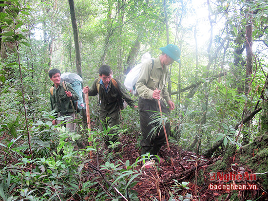 Người dân và cán bộ Vườn Quốc gia Pù Mát tuần tra bảo vệ rừng.