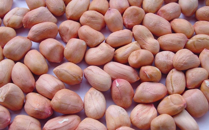 Lạc: Chứa nhiều dầu thực vật, hơn nữa nó cũng là loại hạt giàu vitamin B2 thúc đẩy tiêu hóa, cung cấp độ ẩm cho da, giúp hệ tiêu hóa làm việc tốt hơn.