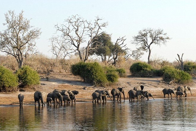 Botswana và Zambia: Đây là 2 quốc gia với vùng thảo nguyên rộng lớn, động vật hoang dã phong phú nhất ở châu Phi. Nếu hứng thú với các phong cảnh ngoạn mục, du khách có thể đi theo con sông Zambezi để tới thác Victoria, thác nước lớn nhất thế giới.