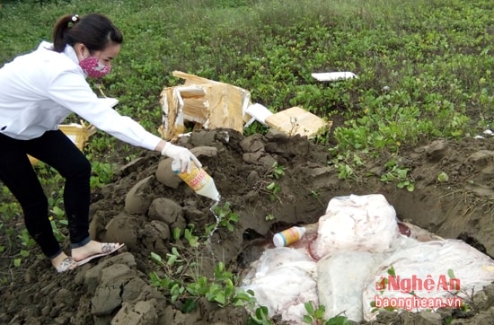 Cán bộ Thú y Diễn Châu tiến hành tiêu hủy toàn bộ nội tạng thu giữ được