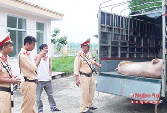 Lực lượng chức năng kiểm tra tang vật.