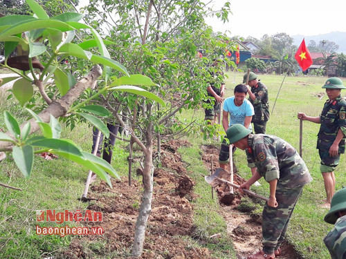 Cán bộ chiến sỹ Lữ đoàn 215 giúp xã Tân Sơn đào hệ thống mương thoát nước tại sân vận động xóm 7