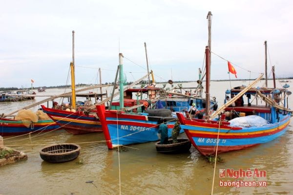 Ngư dân Cửa Hội vẫn thường xuyên có những chuyến đánh cá trong vòng chưa đầy một ngày, thuyền đi từ chiều hôm nay cho đến sáng hôm sau sẽ cập bến. Những ngày ấy, từ 2 giờ chiều mỗi ngày, các thuyền tàu của ngư dân đã sẵn sàng chuẩn bị đầy đủ mọi thứ phục vụ cho chuyến đánh cá ngắn ngày ấy.
