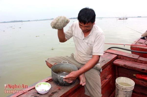 Để vượt sóng ra khơi, những bữa ăn đêm từ tay các đầu bếp vùng biển là không thể thiếu. Trong ảnh, một món cá xay được “đầu bếp” trên thuyền của ngư dân phường Nghi Hải được chuẩn bị sẵn sàng cho bữa tối trên biển.