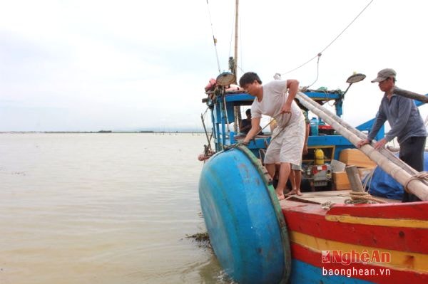 Và những chiếc thuyền mủng được đưa lên thuyền lớn...