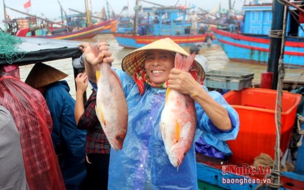 Niềm vui của những người vợ bởi sau chuyến ra khơi đêm qua, chồng và các thuyền viên đã mang về cho mình những đầy ắp cá, hai con cá diêu hồng là thành quả đáng mừng nhất trong chuyến đi ấy.