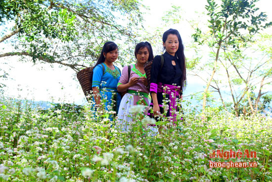 Những học sinh người Mông bên vườn hoa tam giác mạch.