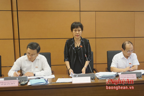 Đại biểu Nguyễn Vân Chi đóng góp ý kiến vào dự thảo luật tại phiên thảo luận.