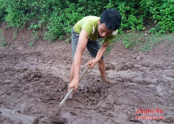 Để tránh những tai nạn, bất trắc cho người và phương tiện tham gia giao thông, người dân bản Pủng thường xuyên tu sửa, tuy nhiên việc tu sử bằng những vật dụng thô sơ, cũng chỉ là giải phát tạm thời trong một thời gian rất ngắn.