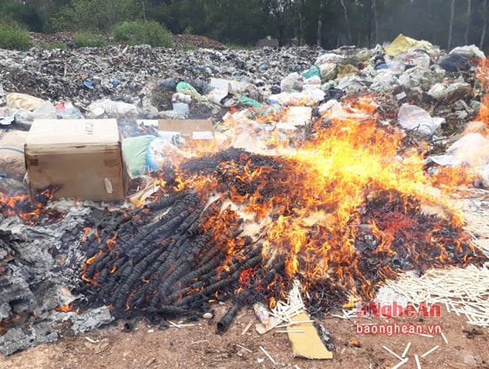 Hình thức tiêu hủy là đốt cháy.