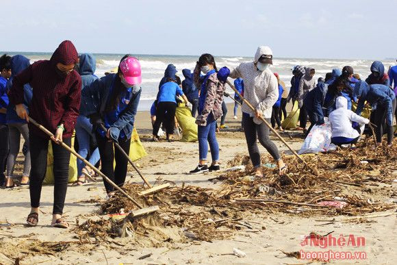 Tinh thần lao động hăng say của các thanh thiếu niên.