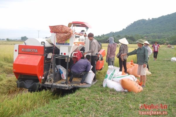 Đưa cơ giới hóa vào sản xuất nông nghiệp ở Yên Thành