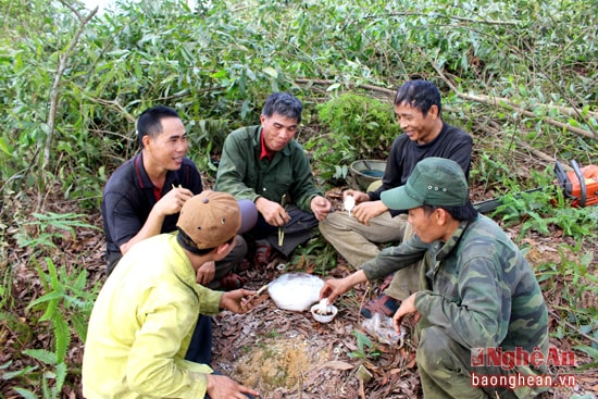 Đi làm xa, người đi đốn keo thường mang theo thức ăn, nước uống để tranh thủ ăn giữa buổi lấy sức. Trên đỉnh núi, bữa ăn lấy cây rừng làm đũa, cơm vắt cũng thấy ngon.