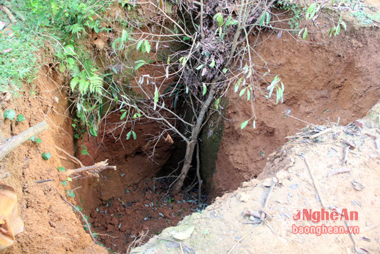 Sau khi khai thác xong, những chiếc hố sâu hàng chục mét bỏ lại tiềm ẩn nguy cơ tai nạn cho người và vật nuôi hoạt động ở khu vực rừng sản xuất này.