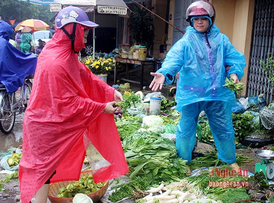 Nhiều mặt hàng rau, củ tăng giá do nguồn cung giảm