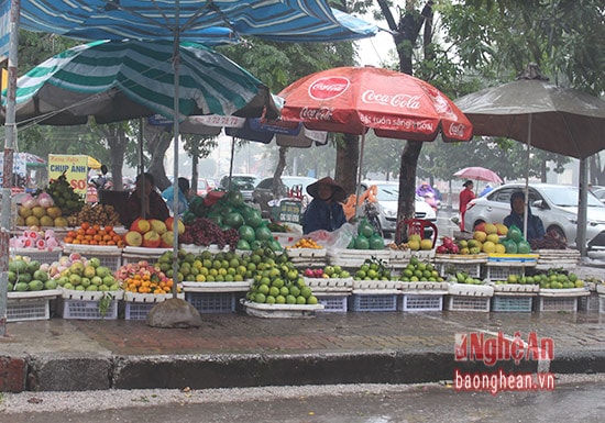 Riêng mặt hàng hoa quả, đồ lễ ế ẩm trong ngày mưa dù hôm nay là ngày Mồng một (Ảnh chụp tại chợ Quán lau). 