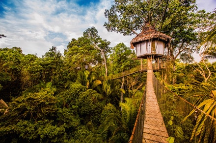 Nhà trên cây ở Peru. 