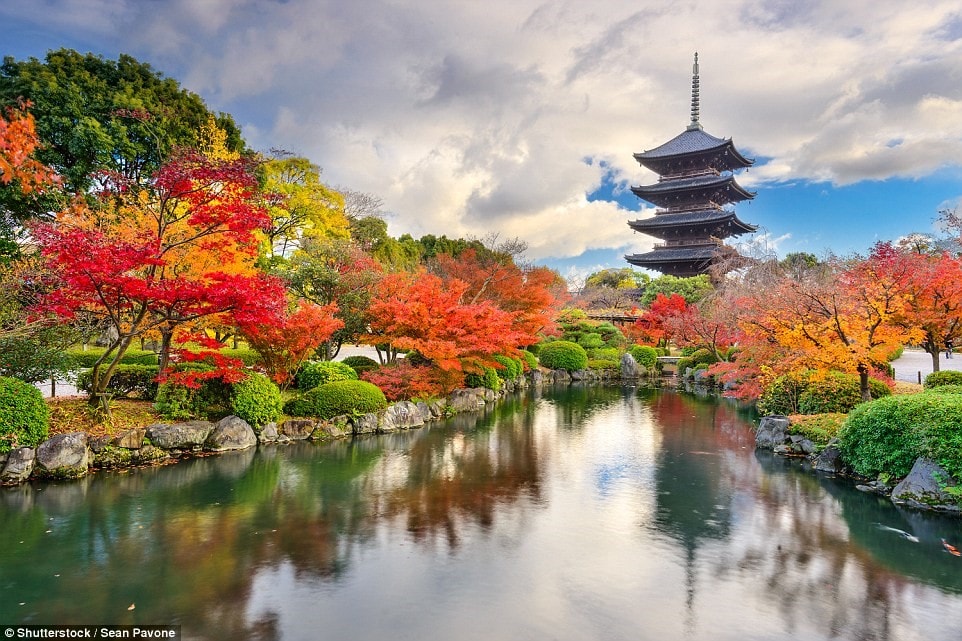 Ngôi chùa Toji, Kyoto, Nhật Bản đẹp như tranh vẽ nhờ những tán cây rực rỡ xung quanh. 