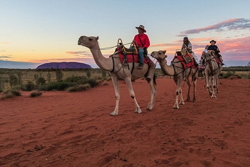 Chính phủ Australia đã trao quyền sở hữu núi đá Uluru cho thổ dân Anangu vào ngày 26/10/1985, với điều kiện là thổ dân Anangu cho Công viên Quốc gia thuê lại trong vòng 99 năm. Điều này đồng nghĩa với việc thổ dân Anangu và Công viên Quốc gia cùng nhau nắm quyền quản lý Uluru. Ảnh: Auviptrip.