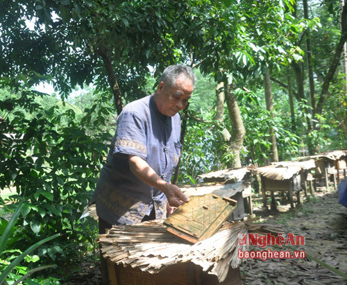  Ông Lương Văn Đào chăm sóc đàn ong trong vườn nhà.