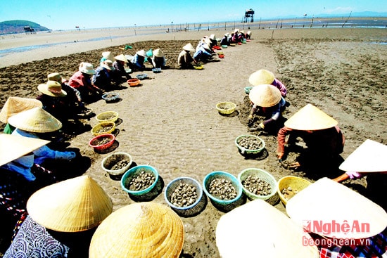 Ảnh Trần Cảnh Yên