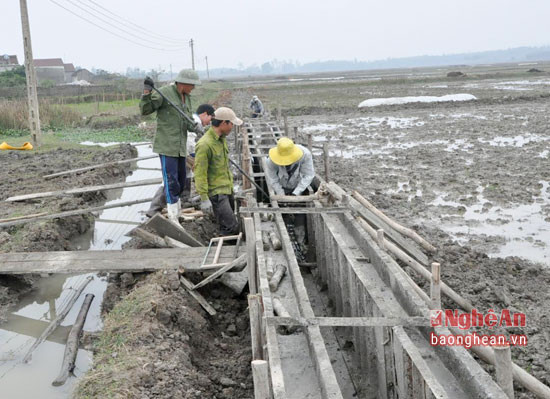 Kiên cố hóa kênh mương nội đồng ở xã Nghĩa Khánh, huyện Nghĩa Đàn