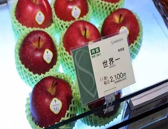 Với 128 USD/kg cho loại táo Sekai ichi của Mỹ.