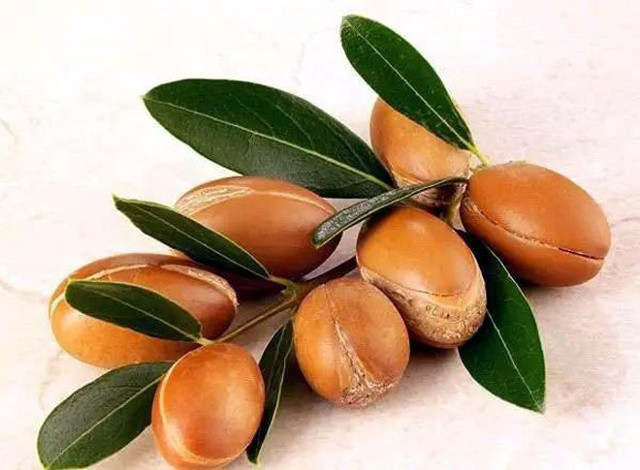 Quả Hạch ở Morocco, giá cho 1.000 ml của dầu lấy từ quả Hạnh (Nut) có giá 1.400 USD (khoảng 31 triệu đồng) loại quả này được gọi là 