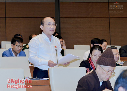 Phó trưởng đoàn ĐBQH Nghệ An Nguyễn Thanh Hiền phát biểu tại cuộc họp.