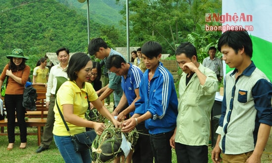 Đại diện Báo Nông thôn ngày nay trao lợn giống cho các hộ nghèo Hữu Khuông