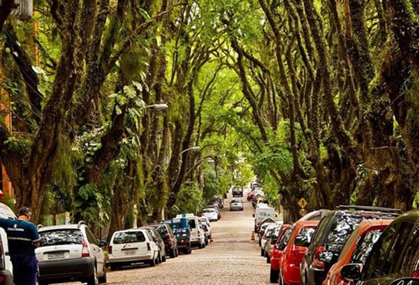 Con đường Rua Goncalo de Carvalho của thành phố Porto Alegre, Thủ phủ của bang Rio Grande do Sul, (Brazil) được đánh giá là đẹp nhất thế giới.