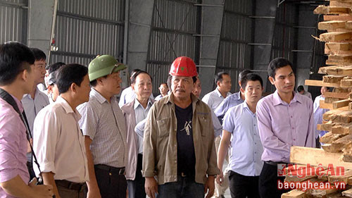 Đoàn thăm Nhà máy chế biến gỗ Nghệ An.