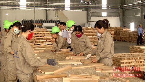 Quế Phong sẽ liên kết trồng rừng nguyên liệu với Nhà máy chế biến gỗ Nghệ An