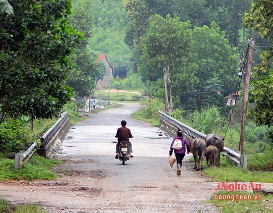 Người dân tái định cư xã Thanh Sơn đi làm vào lúc sáng sớm.