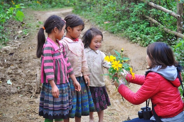 Loài hoa thể hiện nét hoang dã, sức sống mãnh liệt và phóng khoáng như con người vùng cao. Ảnh: Hồ Lài