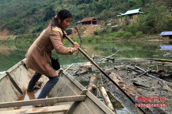 Nghề thu mua cá cũng vất vả không kém, họ phải dậy sớm đi thuyền dọc sông Nậm Nơn, vượt qua nhiều thác ghềnh nguy hiểm để thu mua cho bà con.