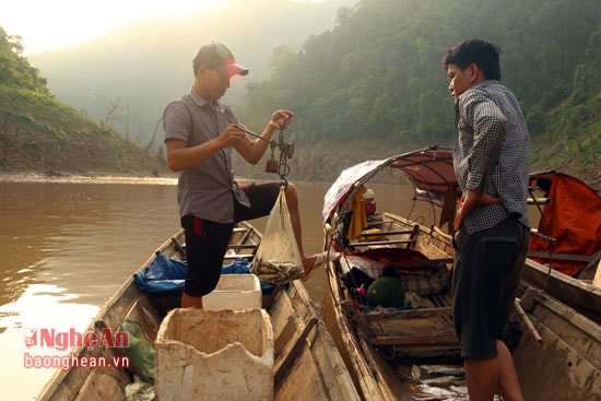 Thông thường các thương lái thu mua bắt đầu từ 4 giờ sáng và kết thúc vào lúc 6 giờ.