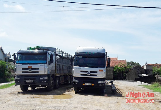 Hiện nay Quỳnh Minh là xã có số lượng xe tải lớn nhất ở Quỳnh Lưu.