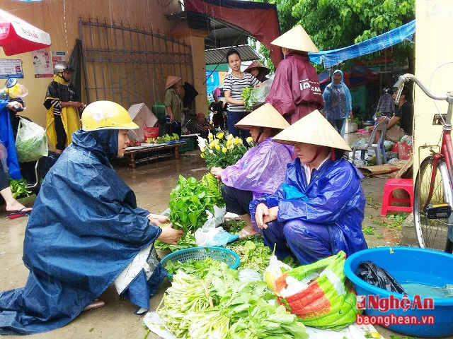 Tại Nghi Lộc, rau xanh được chủ hàng đẩy giá lên 30-50%.