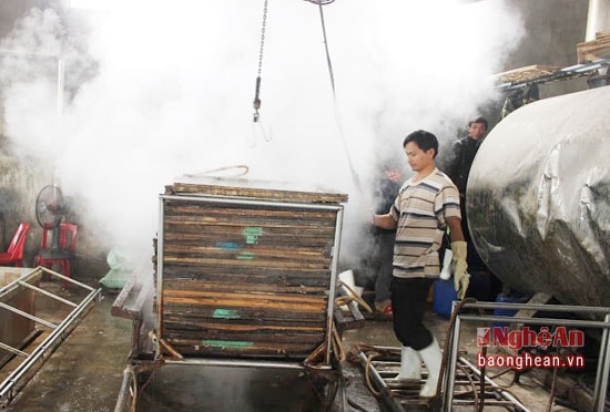 Chế biến cá ở Quỳnh Dị - Hoàng Mai. Ảnh Nguyễn Vân.
