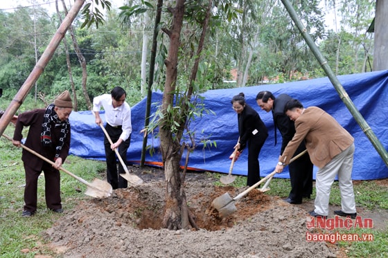 Lãnh đạo tỉnh và chính quyền địa phương trồng cây đại đoàn kết
