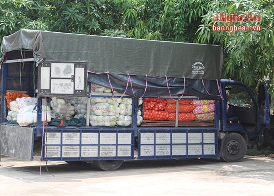 ử lý 6 vụ vi phạm về rau củ quả nhập lậu, không có giấy tờ kiểm dịch, tổng giá trị thu phạt hơn 100 triệu đồng