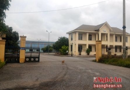 Công ty CP ô tô Trường Sơn - một trong những doanh nghiệp điển hình về chây ì nợ đọng BHXH.