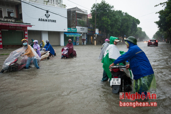 Tình trạng ngập nặng sau các cơn mưa lớn kéo dài đã xảy ra ở thành phố Vinh.
