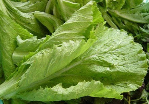 Rau cải đắng nấu canh cá là món ăn ưa thích của nhiều gia đình